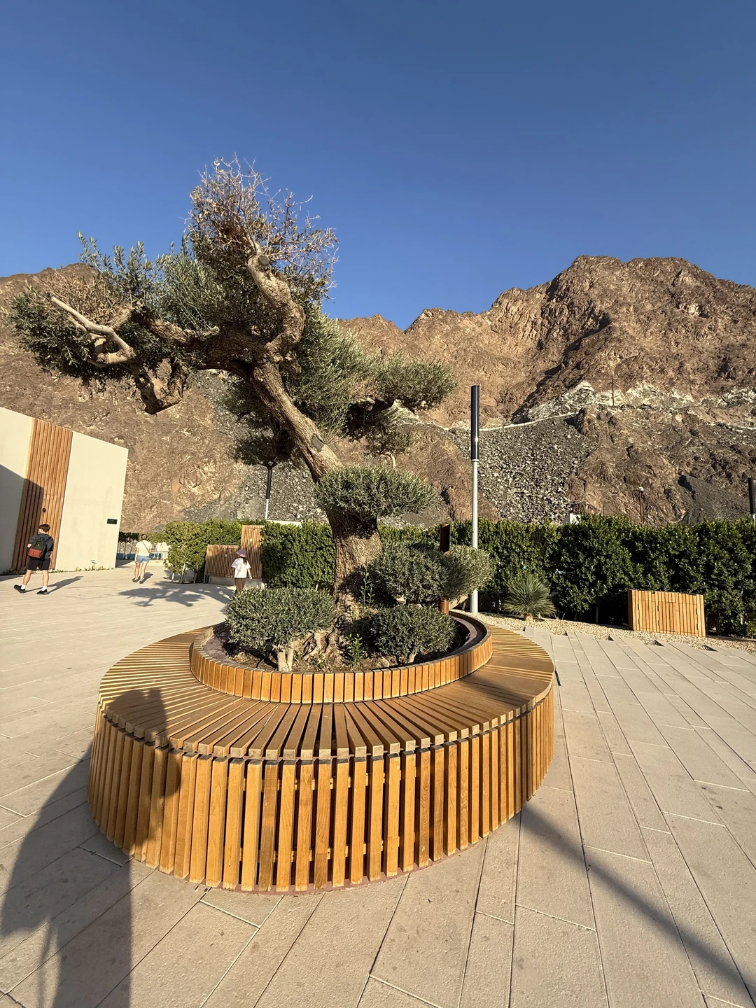 Ездили в тур с Мохаммадом. 2 взрослых, 2 детей и подросток. Все прошло замечательно. Тур понравился)