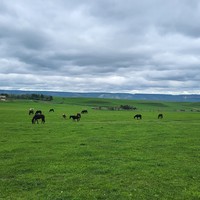 Фото отзыва 1: экскурсия "Медовые водопады, или Великолепная пятёрка и гора Кольцо"