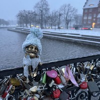 Фото отзыва 2: экскурсия "Кёнигсберг. История трёх городов"