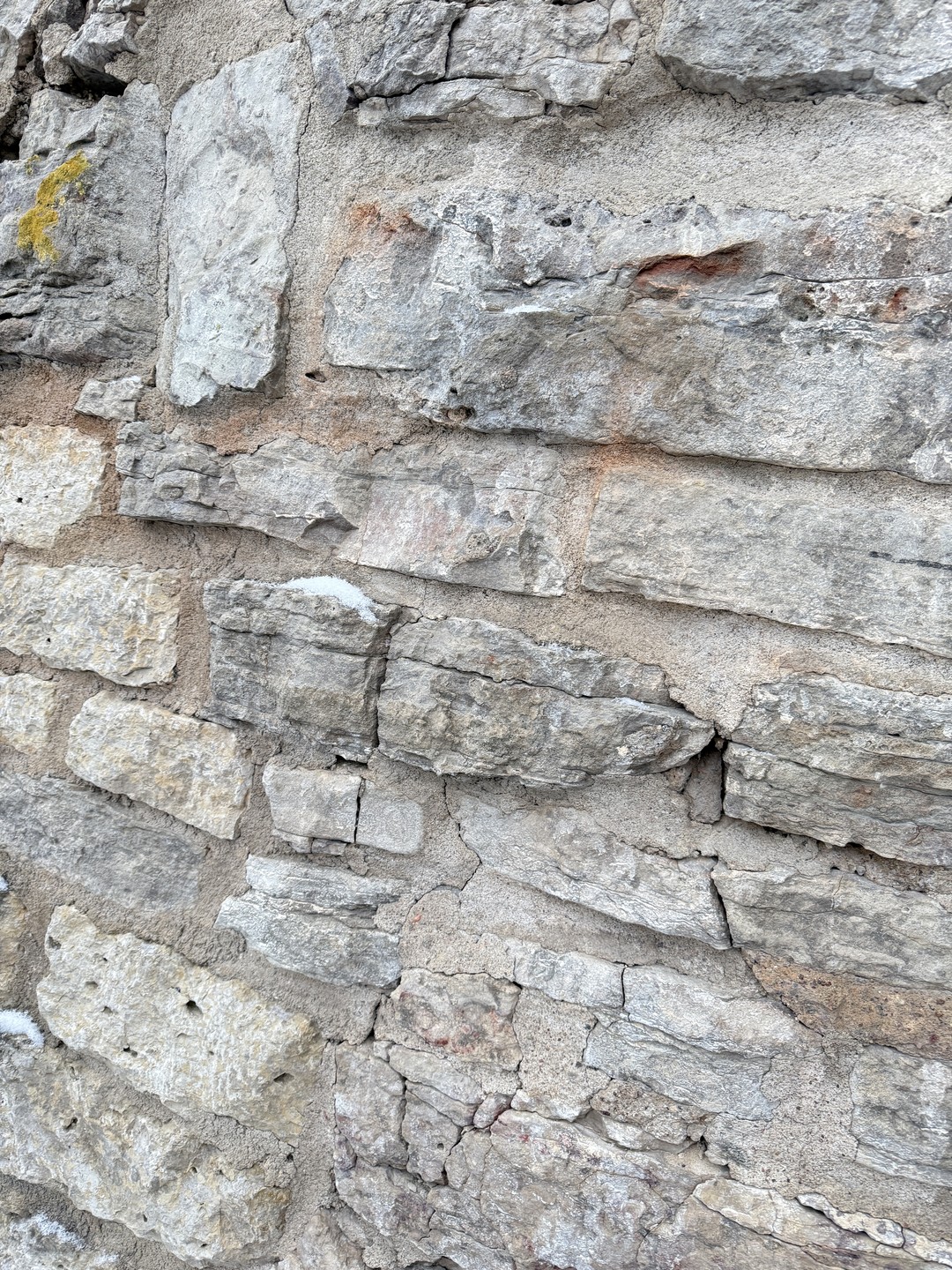 Псковский Кремль и ближнее Запмковье 5.01.2026 г. Экскурсия очень понравилась. Интересный формат, соответствие заявленной программе, возможность