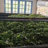 Фото отзыва 1: экскурсия "Дамбулла, Сигирия и Полоннарува: трансфер-экскурсия"