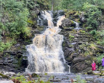 Знакомство с Петрозаводском, переезд в Северное Приладожье, сафари к водопадам