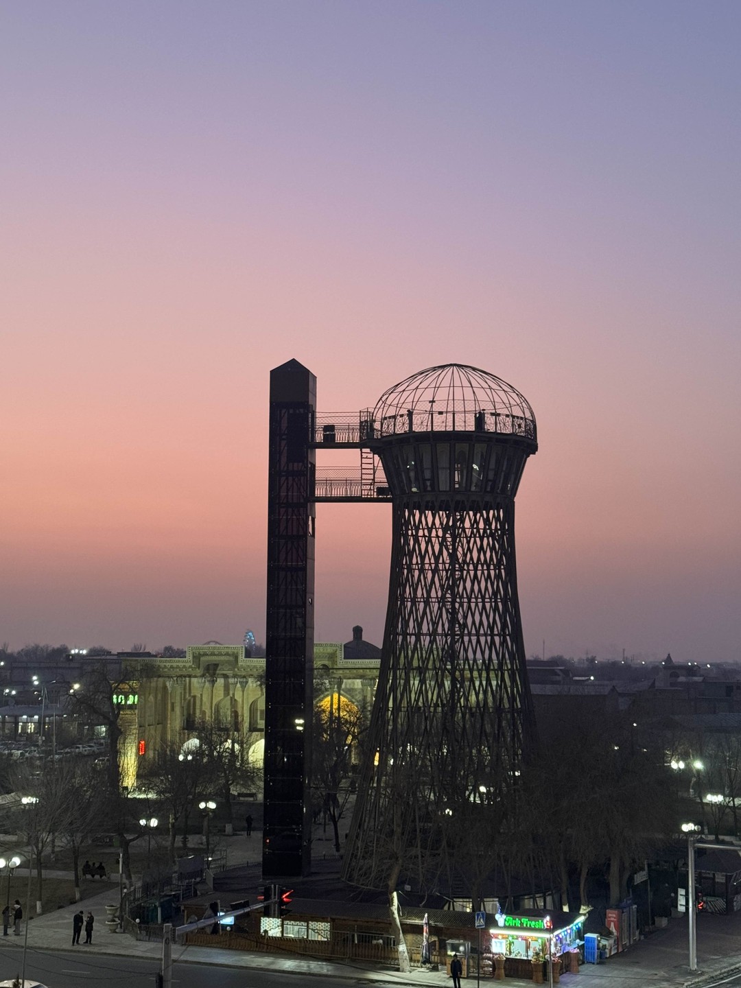 Мозаика Бухары: история, архитектура, ремесла и люди (Elena)