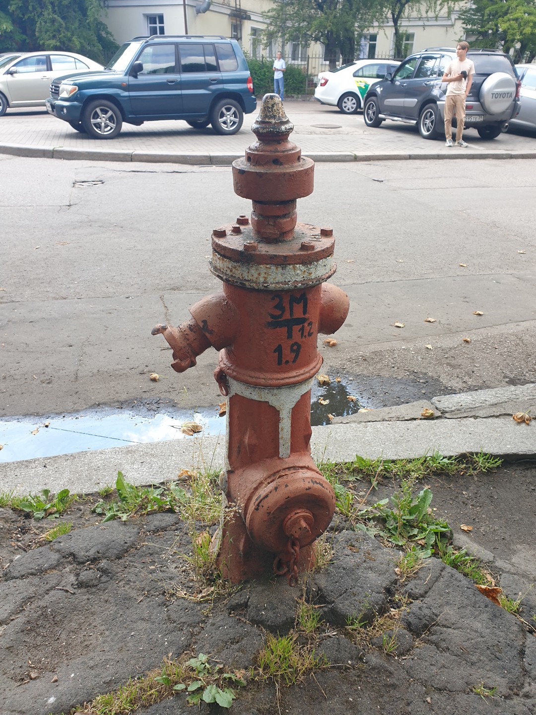 Романтическая прогулка по загадочному Калининграду (Еленв)