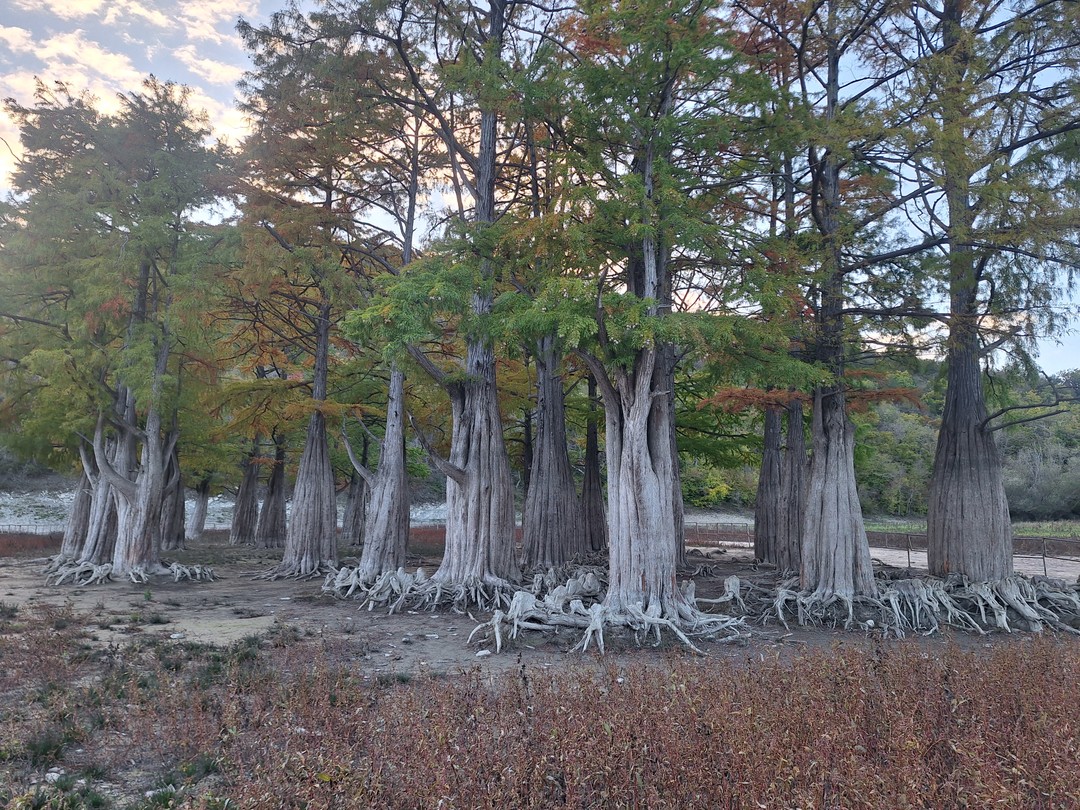 Анапа: топ-места за 5 часов (Татьяна)