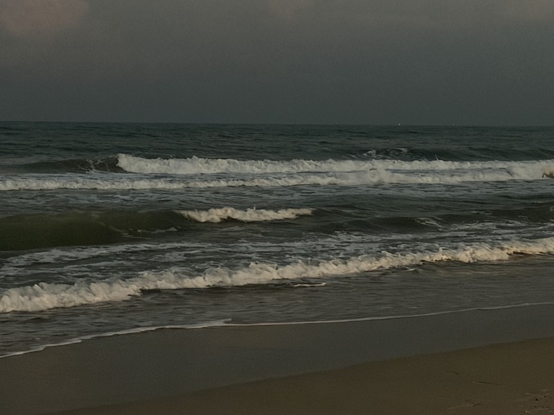 Хотим поблагодарить за потрясающее время провождения! Насыщенная программа,интересные беседы, учли все наши пожелания))) приятный бонус это