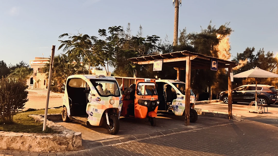 Добрый день. Благодарим Екатерину и Вайля за проведение индивидуальной экскурсии. Экскурсия организована качественно и безопасно от