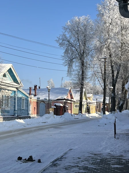 Я и моя подруга остались в восторге от экскурсии, которую провела для нас Светлана! В Городце