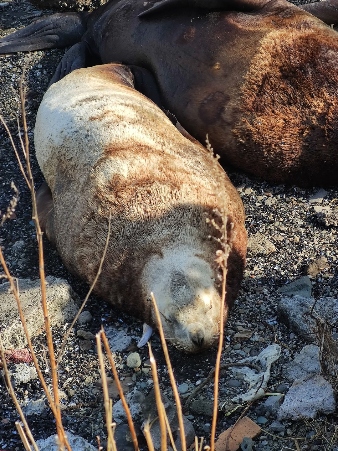 Самые популярные места Камчатки за 1 день (Алëна)