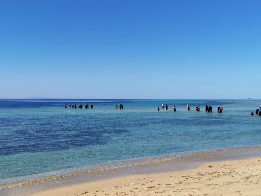 Нам очень понравилось отдыхать с Мустафой - весь день чувствовали себя, окружённые заботой и вниманием. Это
