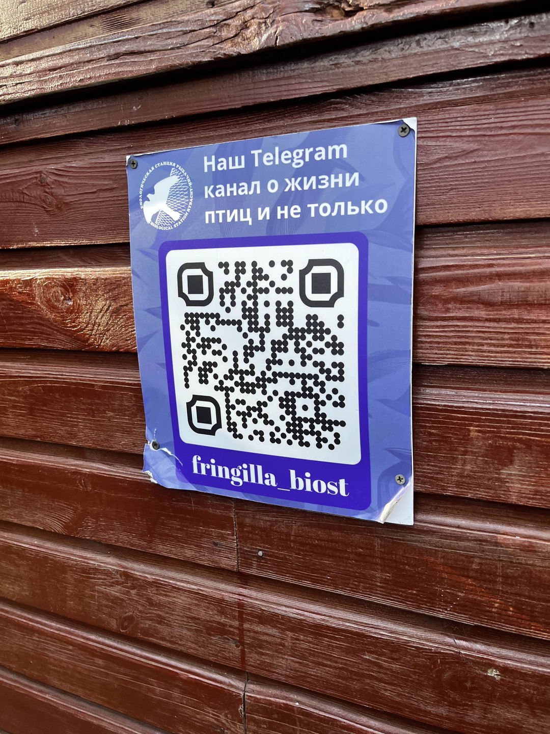 Хочу выразить благодарность нашему экскурсоводу Владиславу! 😌