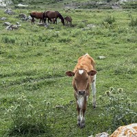 Фото отзыва 4: экскурсия "Топовые достопримечательности Чечни за 1 день!"