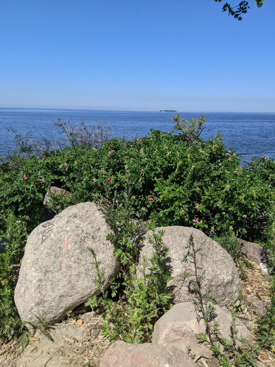 Это была очень милая экскурсия по Красносельском району Петербурга! Наш гид Мария провела нас от исторической