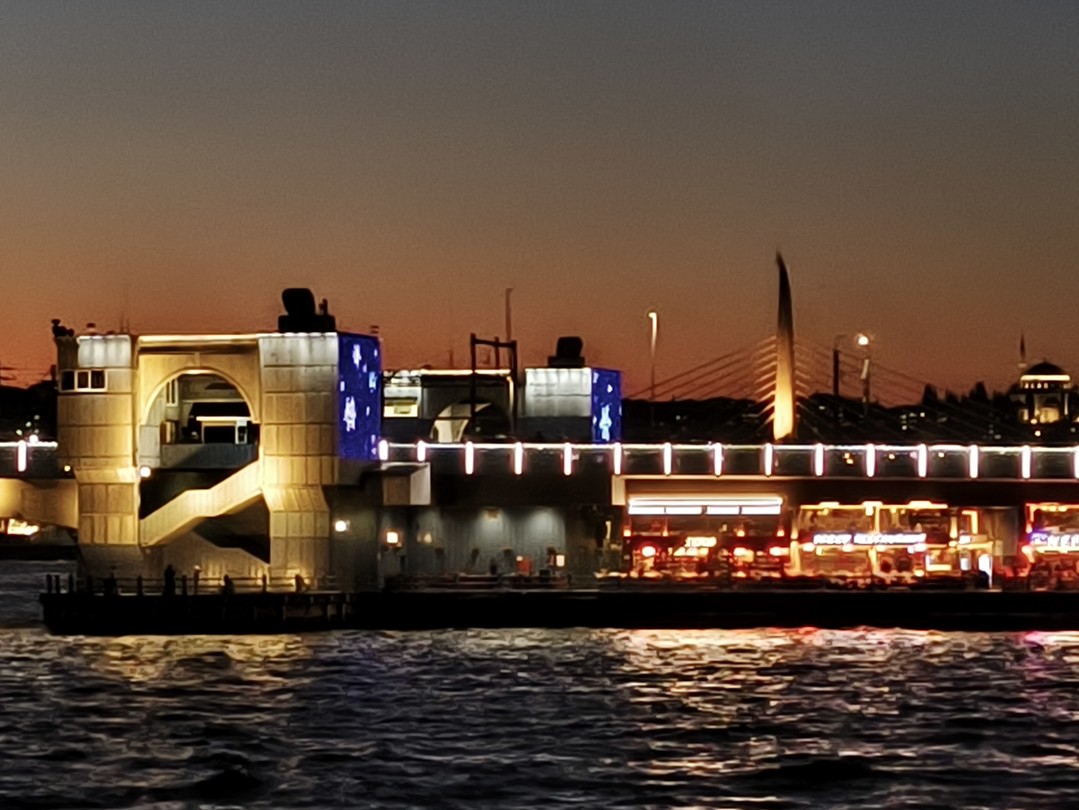 Экскурсия замечательная, мы остались в полном восторге. Ездили 31 декабря на 18ч Босфор в огнях просто