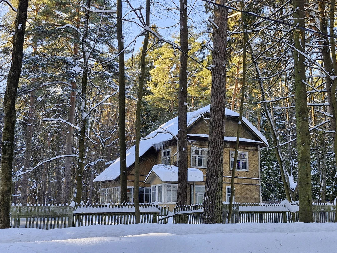 Не смотря на просто невообразимое для здешних мест количество снега, прогулка получилась атмосферная