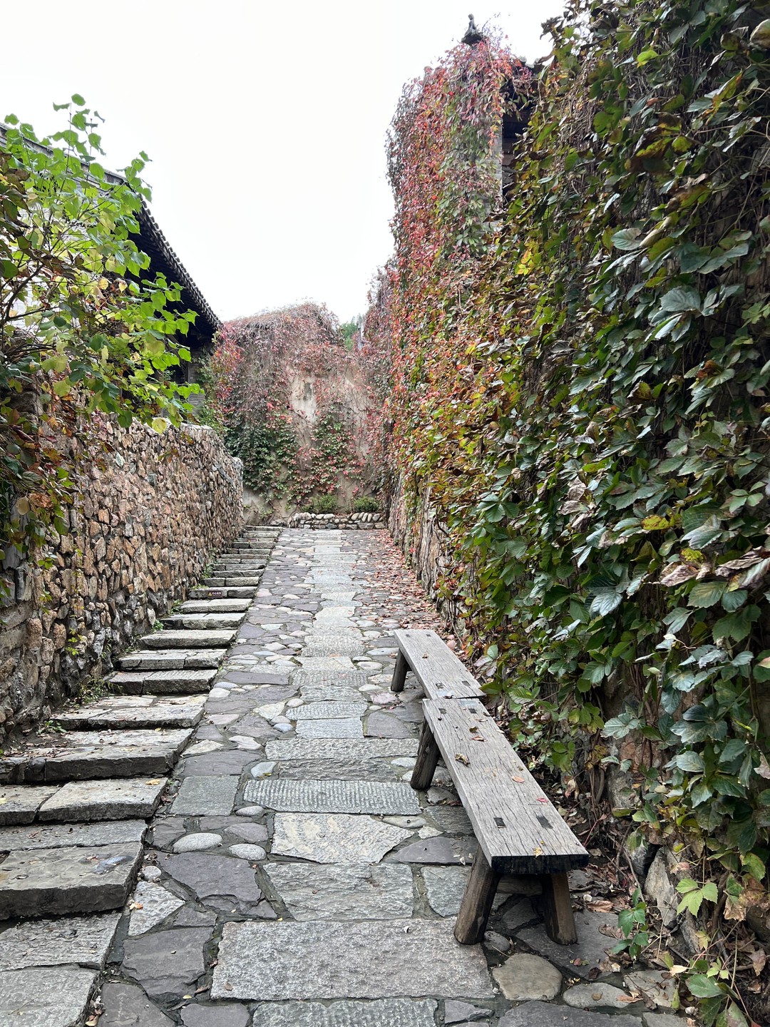 Очень понравилась экскурсия. Участок стены порадовал своими видам, а главное практически не было народа, получились отличные