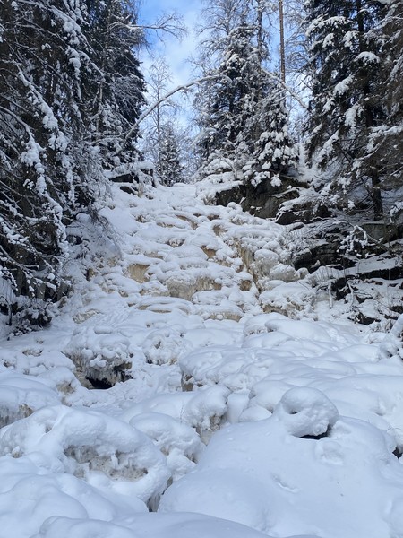 Очень красиво, вкусно и интересно! в первый день мы гуляли по Ладоге, местами снега было по