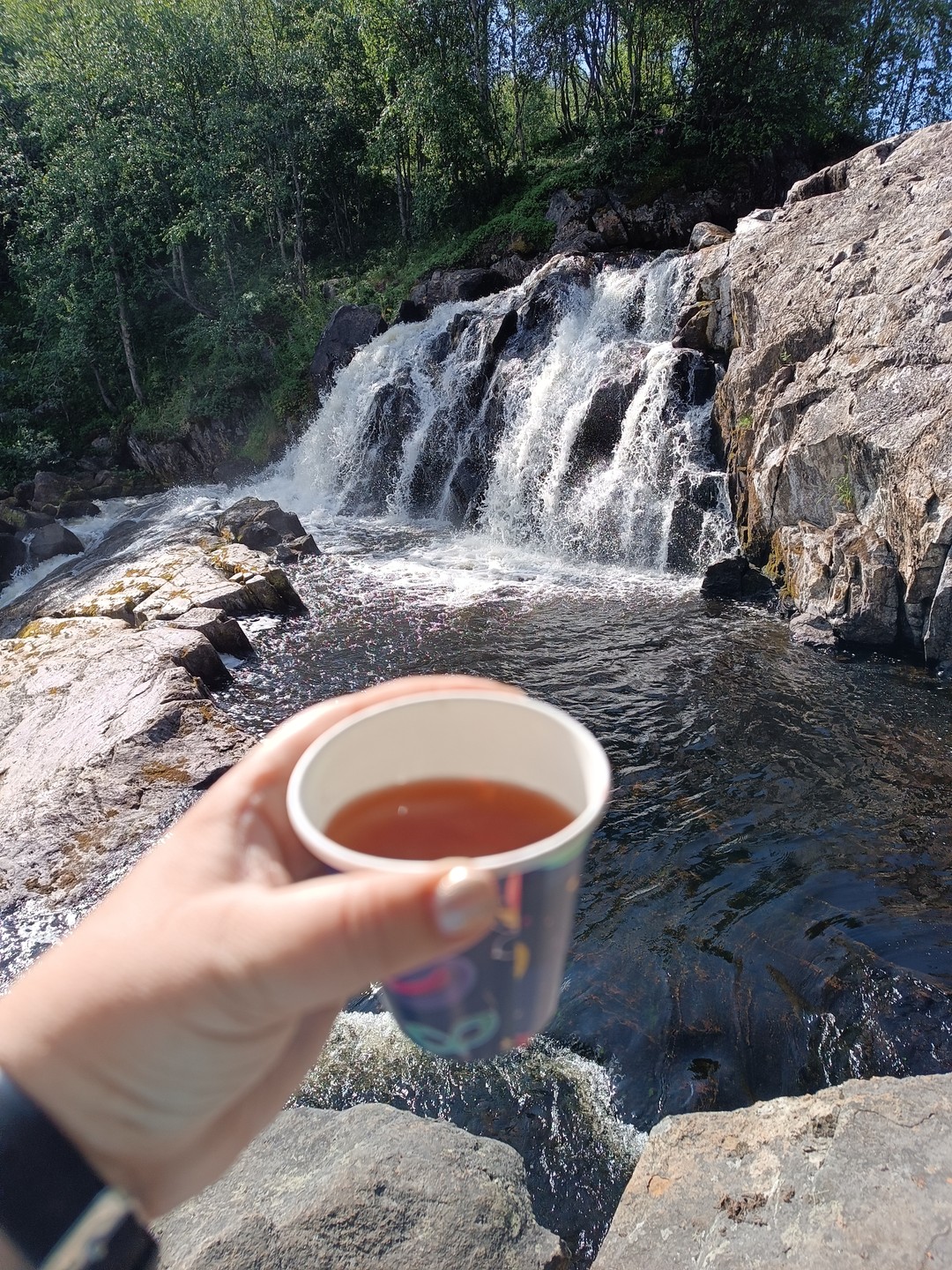 Абрам-мыс, гора Мишукова и водопад за 1 день (Нина)