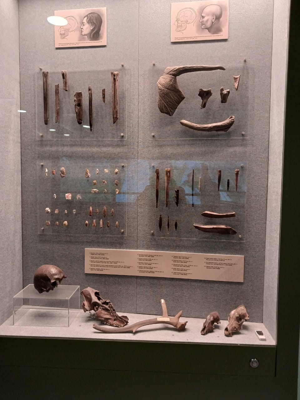 Шикарная экскурсия. Полное погружение в эпоху 9-12 веков. Очень красивые места (Волхов, Ладога). Прекрасная стилизация. Наш