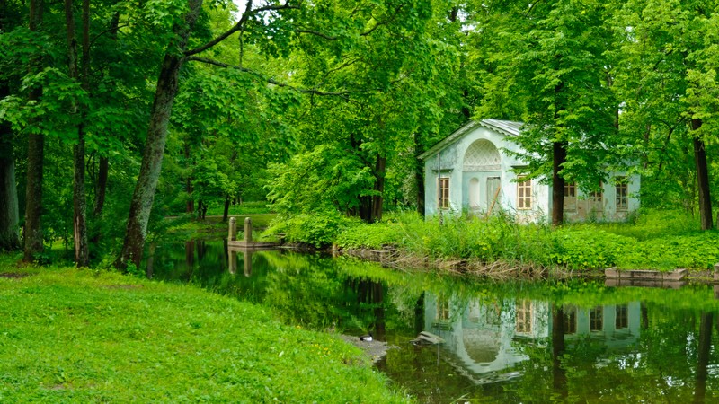 Прогулка по улицам Пушкина