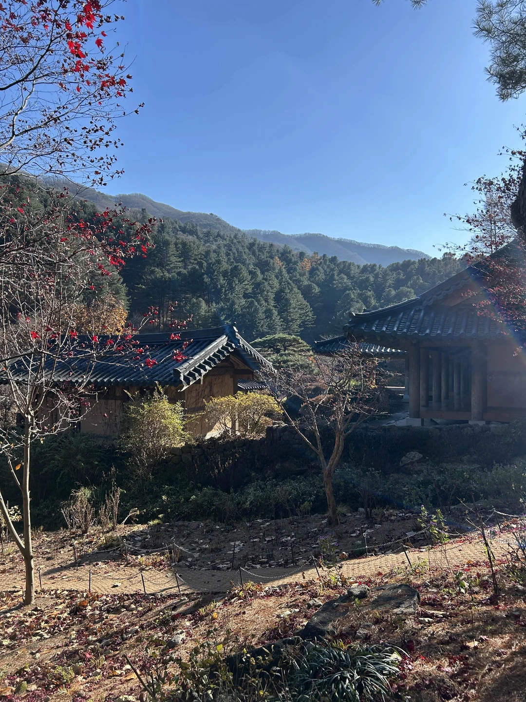 Нам очень понравилась экскурсия. Вячеслав - молодец. Очень вежлив и тактичен! Много рассказывал про Корею! Время пролетело незаметно