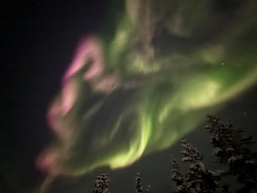 Северное сияние: чудо света в Мурманске (Елена)