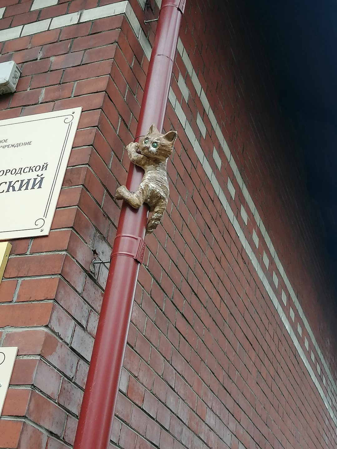 Замуррчательный Зеленоградск (Ольга)