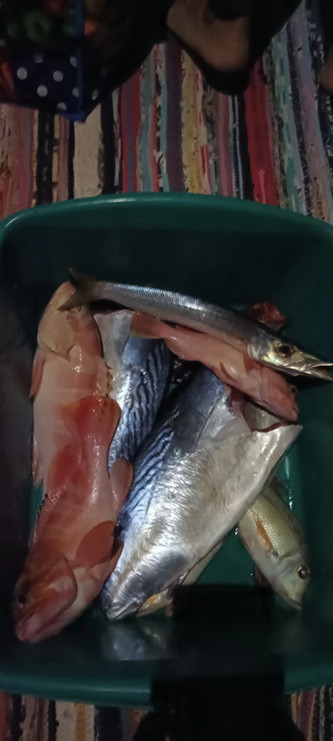 Были на рыбалке с Валидом 15/11/25