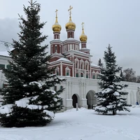 Фото отзыва 2: экскурсия "Женские истории Новодевичьего монастыря"