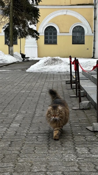 Знакомьтесь, Пинск (Olga)