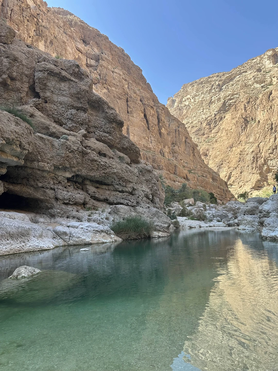 Поездка в сказочный оазис - Вади-Шаб (Zafar)