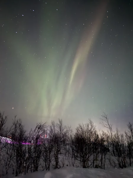 小哥可以的，出发前会提前看极光预报。接送到酒店门口，很准时。开车很稳，这才是找猎人的黄金标准