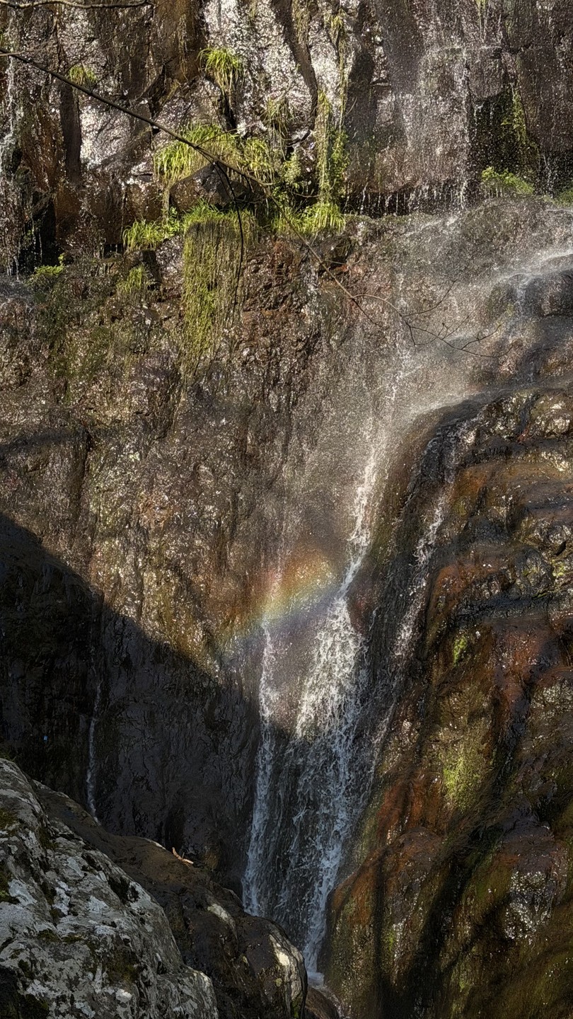 Батуми и Горная Аджария за 1 день (Polina)