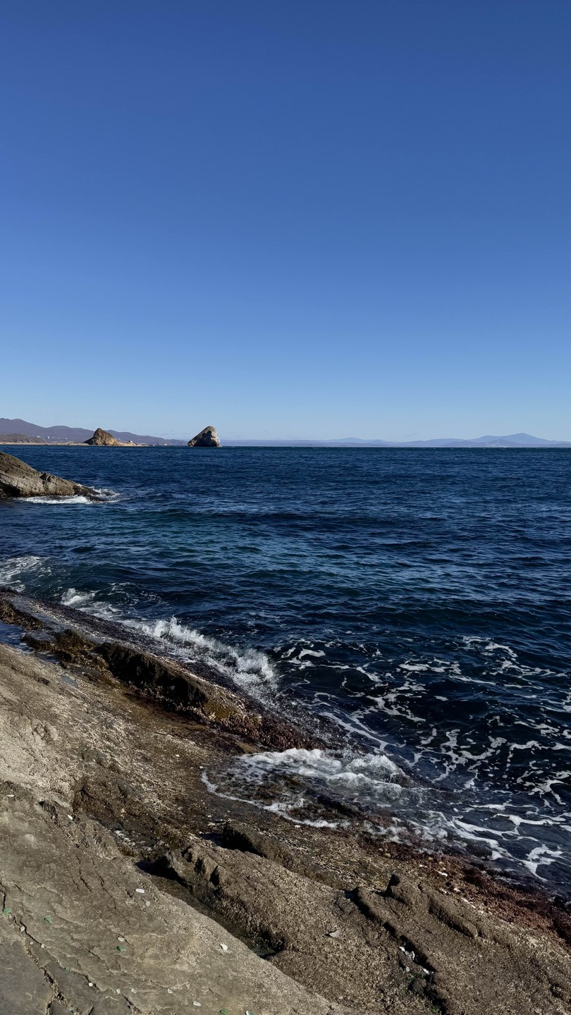 Пока ехали до сафари-парка, гид Анна интересно рассказывала о Владивостоке, потом посетили замечательные бухты, к сожалению