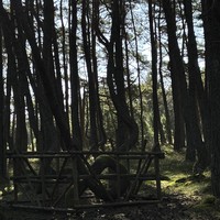 Отзыв о экскурсии "Из Зеленоградска — в сказочный мир Куршской косы" — фото 6