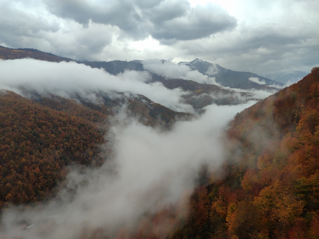 3 курорта Красной Поляны и Олимпийский парк с канатной дорогой на выбор (Ирина)