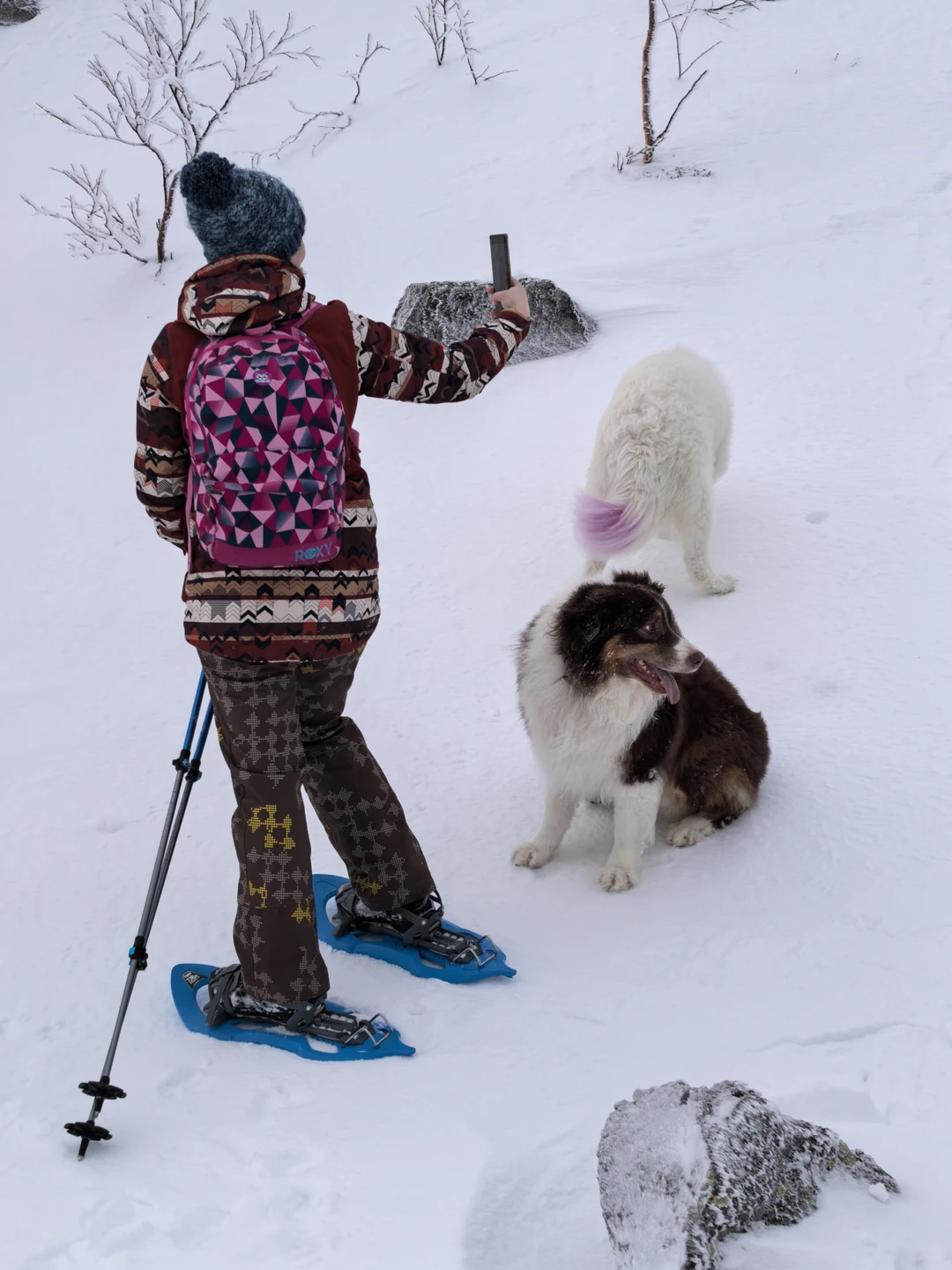Зимние Хибины - на снегоступах (Евгений)