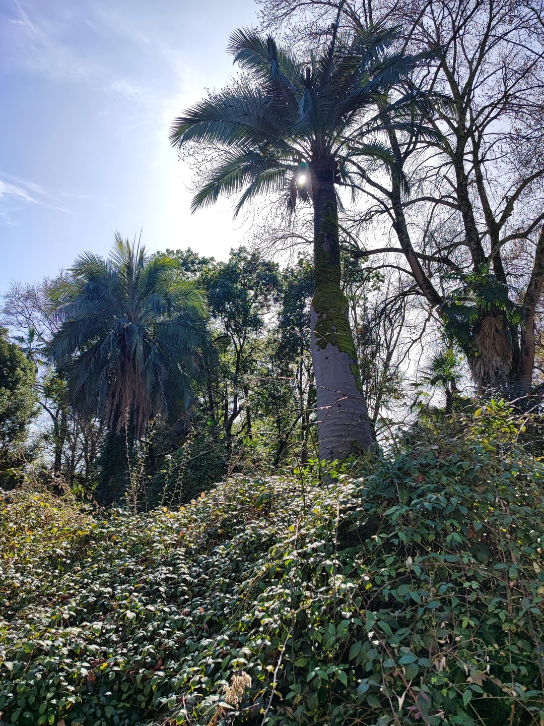 Спасибо большое Гору за прекрасный насыщенный день, увлекательнейшую экскурсию. Природа Абхазии, архитектура раскрылись перед нами во