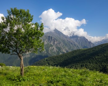Селение Мизур, путь до Верхнего Фиагдона