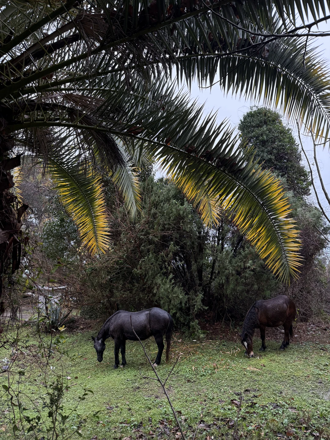 Это просто вау! Ездили в начале января) было холодновато и дождь! но это никак не испортило