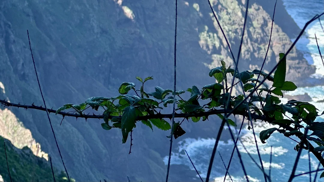 Отличный тур! Евгений — очень эрудированный и организованный гид. Он сумел объединить в одну группу совершенно