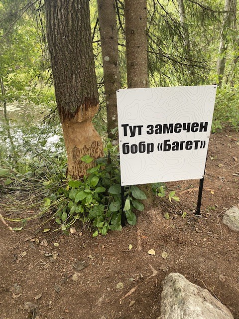 Карелия из Санкт-Петербурга: водопады, Рускеала и тот самый ретропоезд (Анастасия)