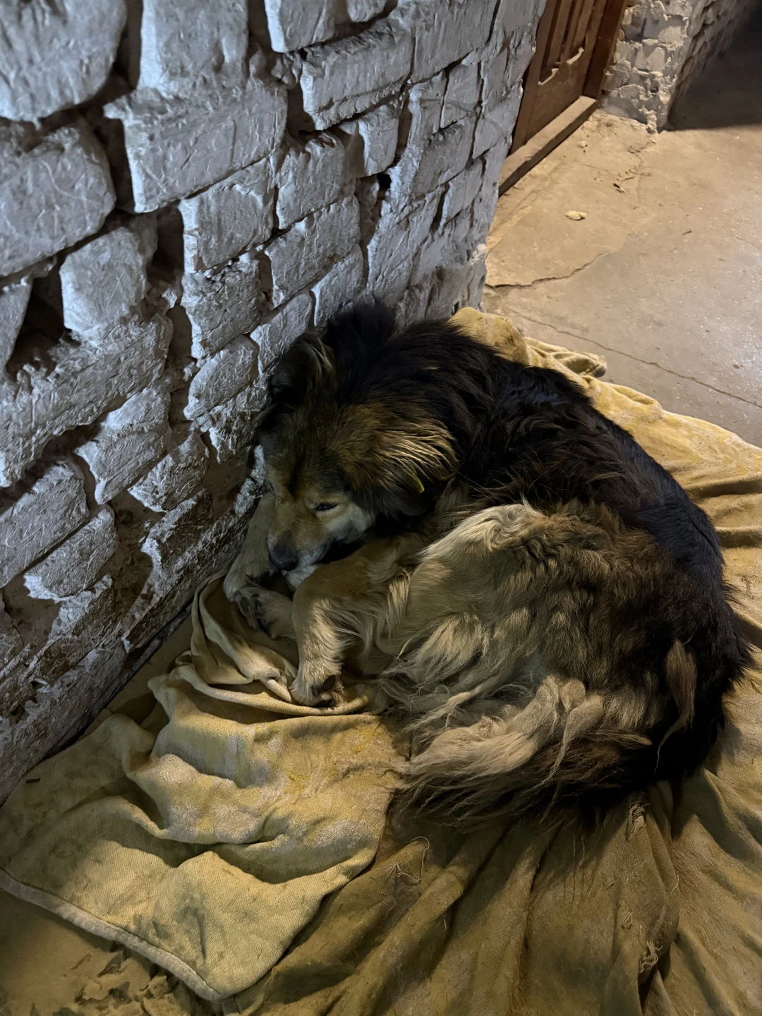 Экскурсия получилась вдвойне интереснее, потому что она ночная. Обошли весь форт, заглянули в каждый уголок, пофотографировались