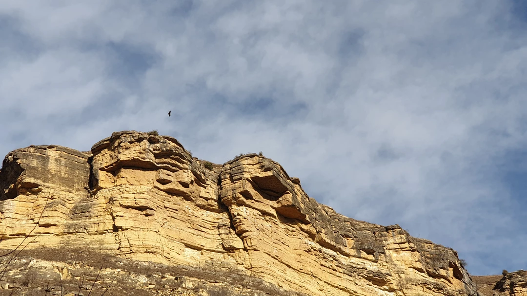 Всем привет!