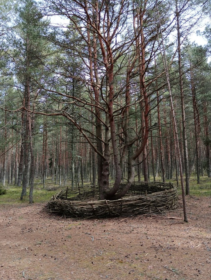 В небольшой группе - на Куршскую косу, в Зеленоградск (Анна)