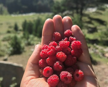 Пикник на озере Гижгит