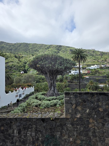 Спасибо большое Денис, за экскурсию, день прошёл очень интересно и познавательно, много впечатлении и исторических фактов о острове