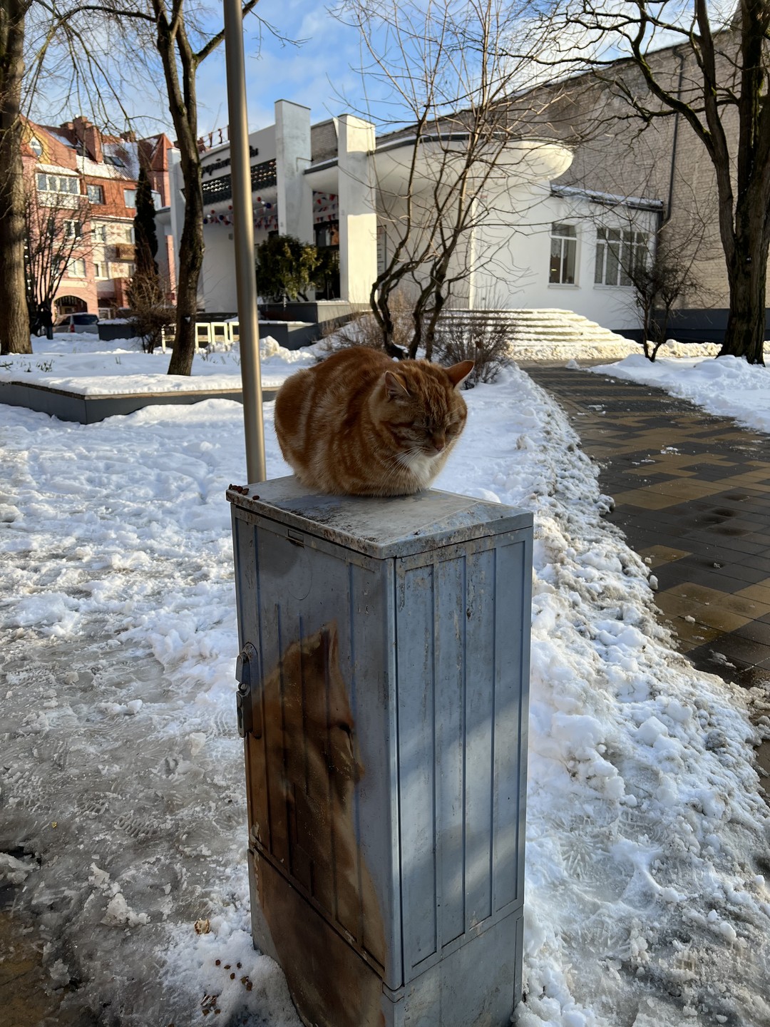 Экскурсия оставила самые приятные впечатления! Андрей - не только профессионал, который знает и любит Калининград, но