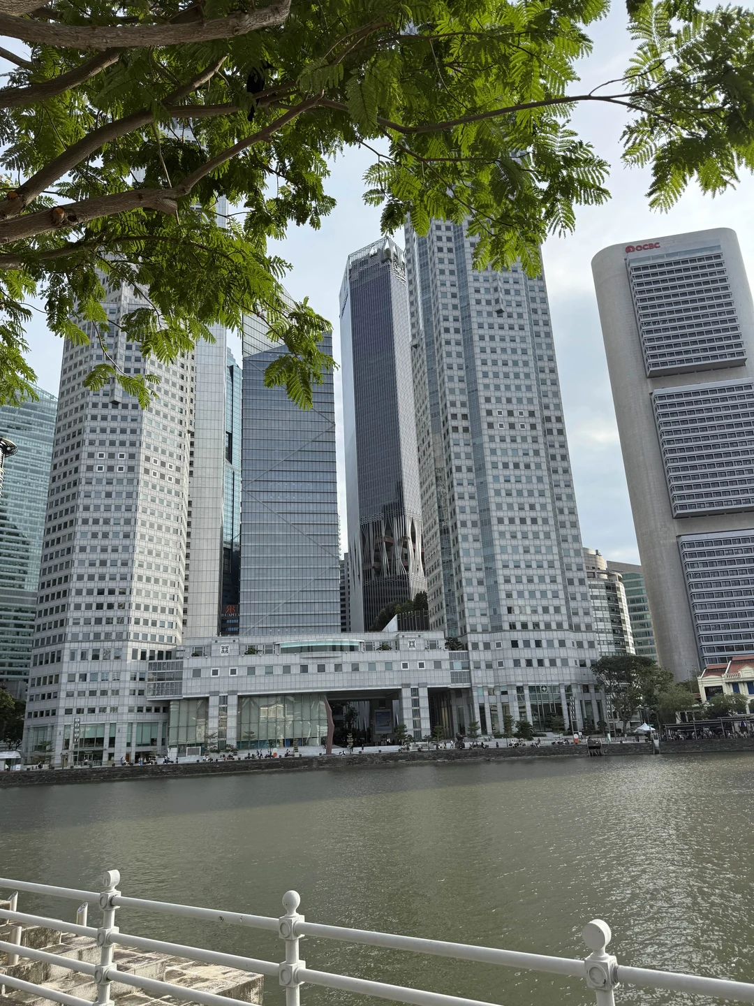 Нам понравилось, легко, задорно. Светлана провела нас интересным маршрутом, мы довольны