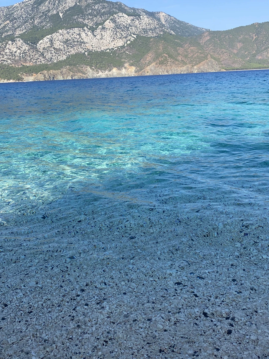 Экскурсия прекрасна! Трансфер вовремя на комфортабельном автобусе. Быстрая посадка на корабли, 2 остановки на красивейших пляжах